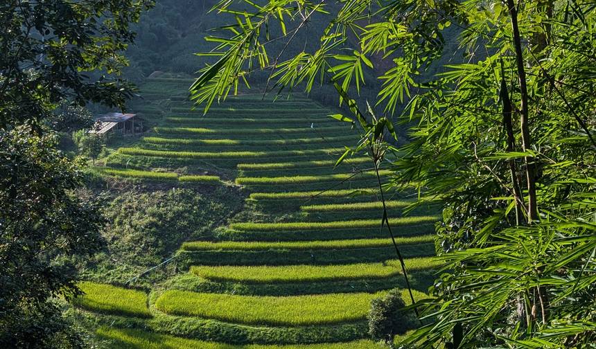 Aventura de 7 Dias na Tailândia: Bangkok, Chiang Mai e Santuário Ético de Elefantes — 1