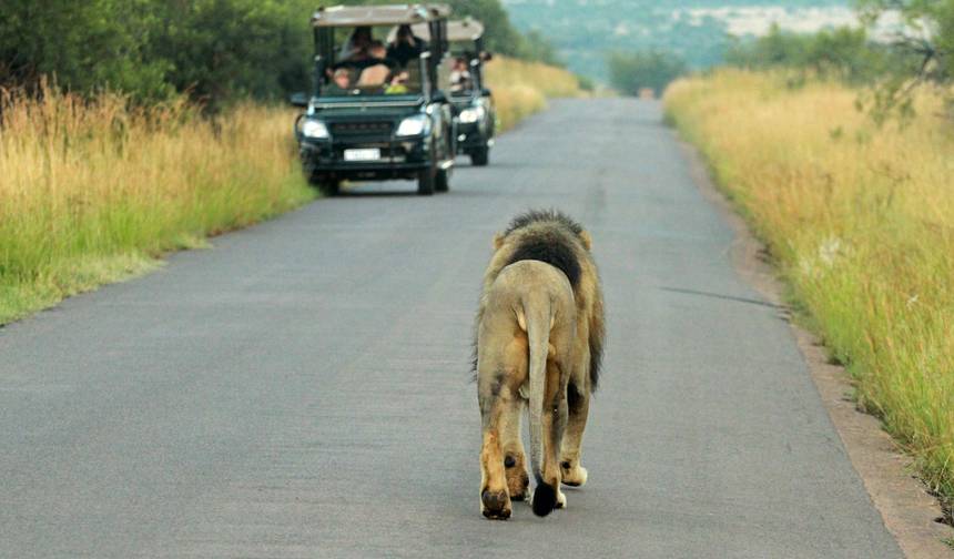 2-Day Authentic Big Five Camping Safari at Pilanesberg — 1