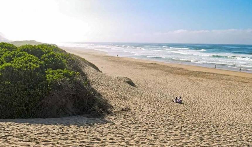 2-Day Scenic Garden Route Safari from Cape Town — 1