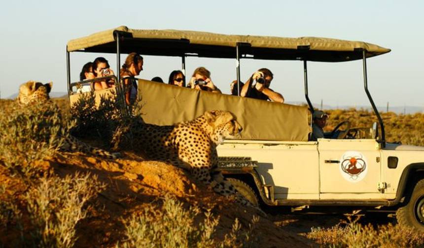 Safari de 2 Dias em Inverdoorn – Experiência Big Five na Cidade do Cabo — 1