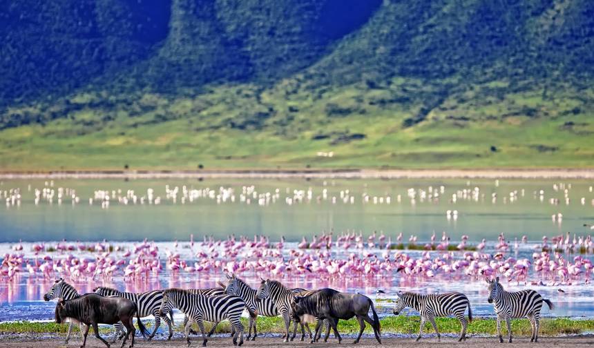 On Safari in Kenya & Tanzania with Zanzibar — 1