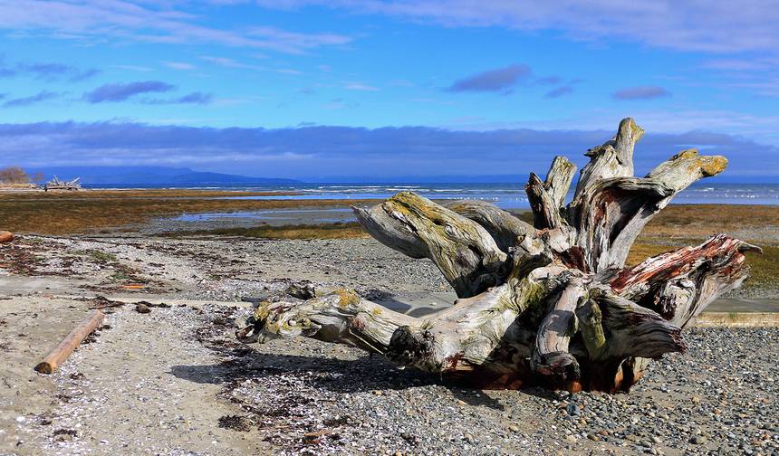 Vancouver Island Adventure - 5 days — 1