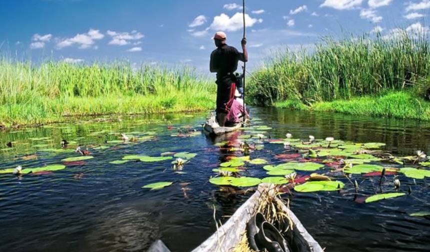 Safari de 3 Dias pela Vida Selvagem de Chobe e Okavango — 1