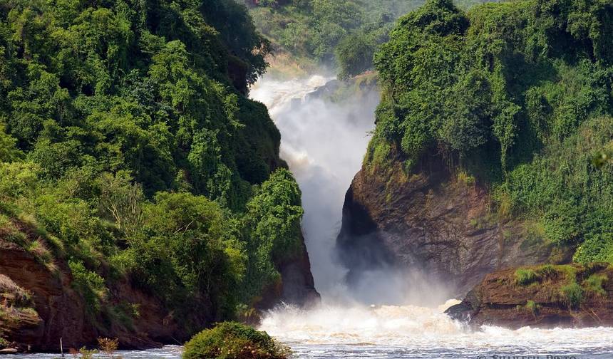 10 Day Highlight of Uganda wildlife and its Nature. — 1