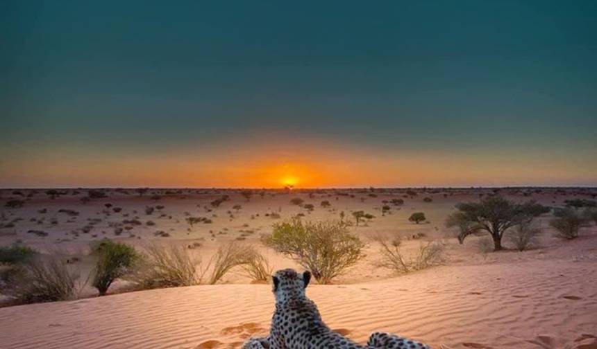3-dniowe safari po pustyni w Sossusvlei – w budżecie — 1