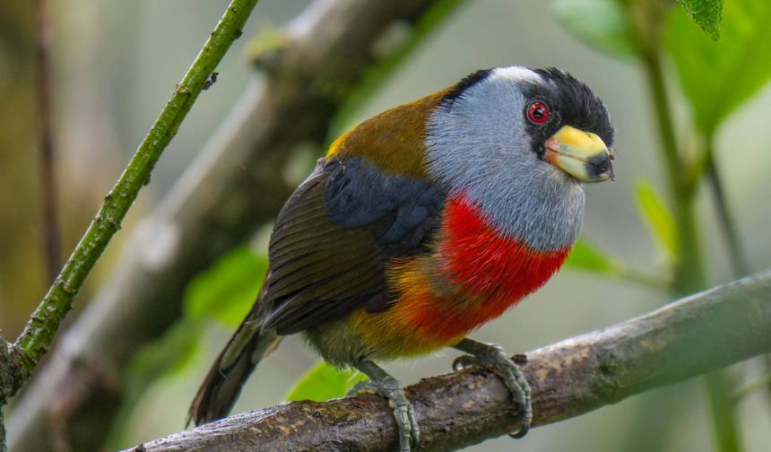 Quito to Mindo Cloud Forest Escape — 1