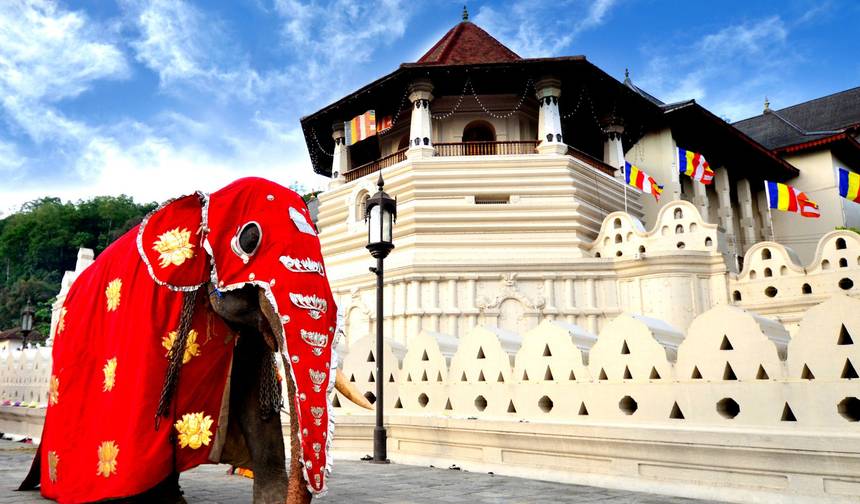 Cultural Odyssey in Sri Lanka — 1