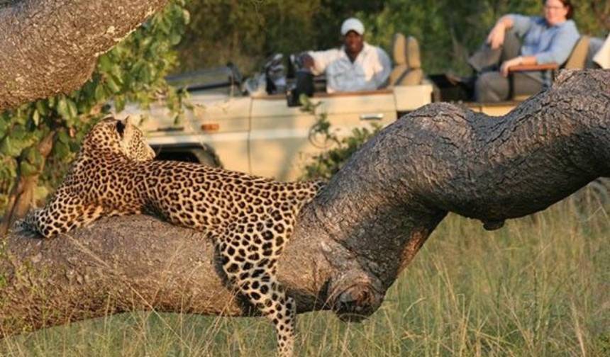 4-Day Adventure – Sabi Sands Safari Lodge Escape — 1