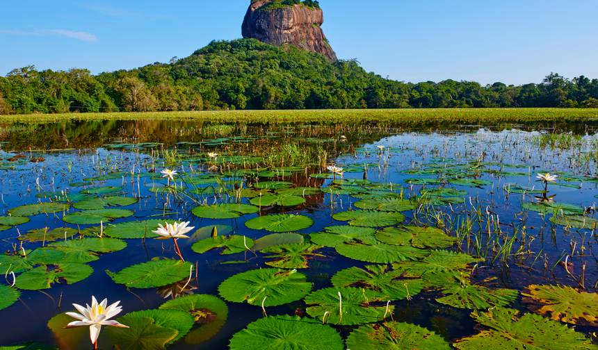 07 Day Sri Lanka Tour — 1
