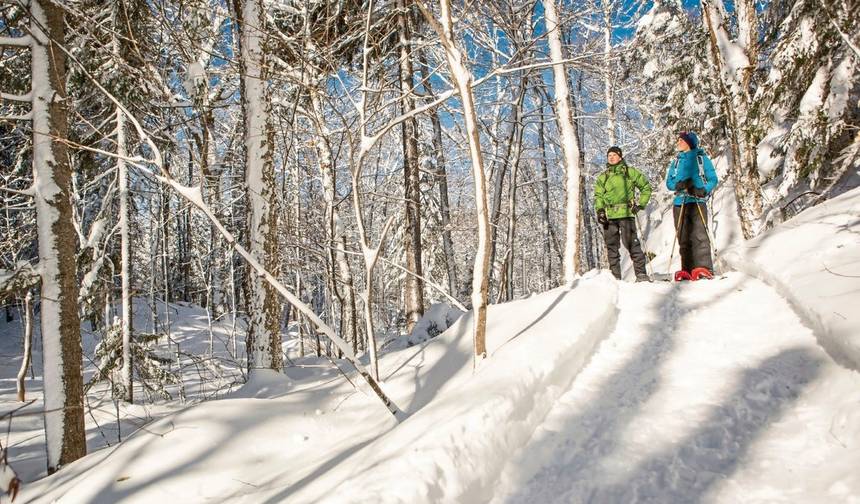 Quebec Winter Wonderland — 1