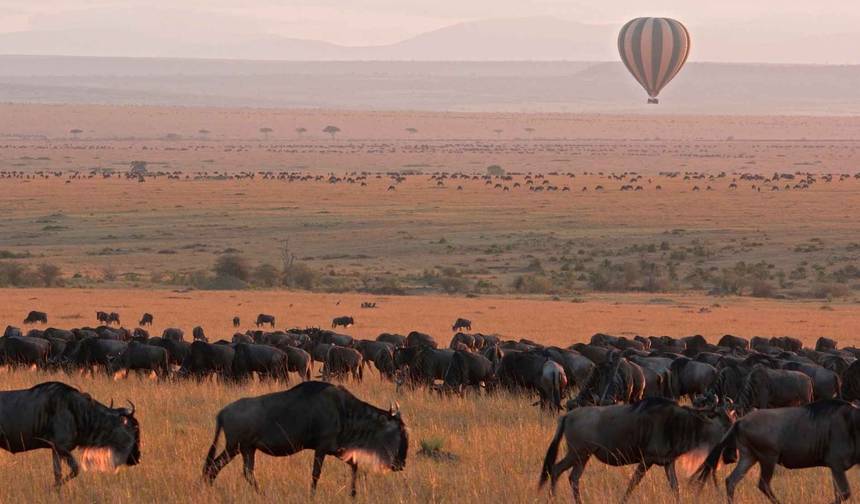 10 dni safari po Serengeti i Masai Mara, Jeziorze Nakuru i Ngorongoro — 1