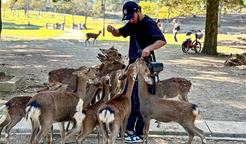 Tour Clássico de 7 Dias em Pequeno Grupo pelo Japão com Máximo de 6 Pessoas, Hotéis 3 e 4 Estrelas — 1