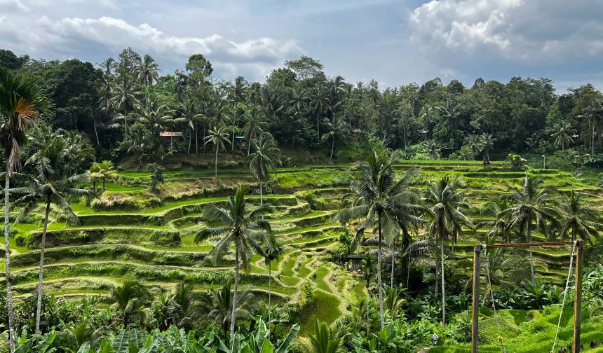 Bali's Wild Heart: Soul, Surf & Spirit — 1