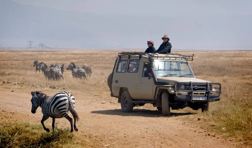Tanzania Uncovered: Wildlife of the Serengeti & Ngorongoro Crater — 1