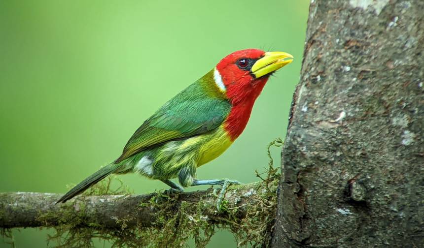 Ecuador Unveiled: Her 7-Day Solo Discovery — 1