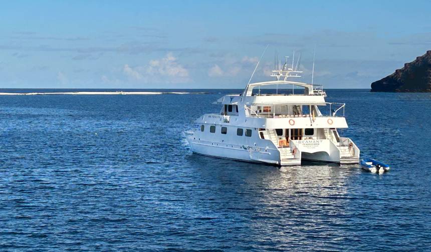 Andes to Galápagos Southern Wildlife Immersion Cruise (B) — 1