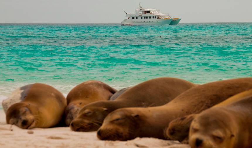 Andes to Galapagos North–South Horizons Explorer Cruise (C1) — 1