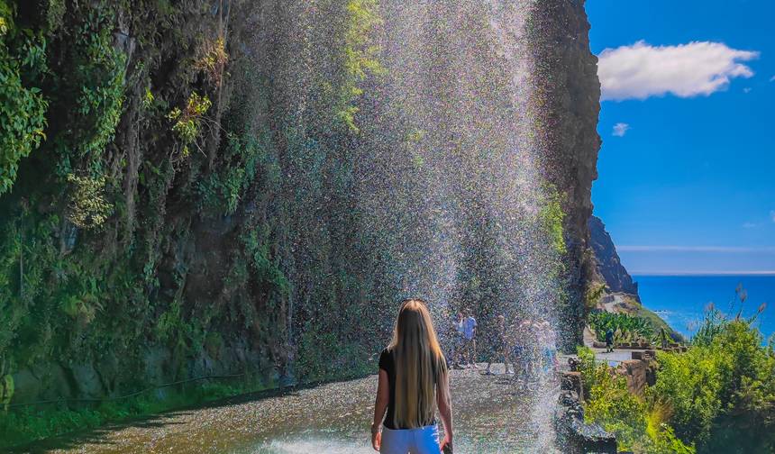 Primavera Eterna: A Madeira Espera por Você — 1