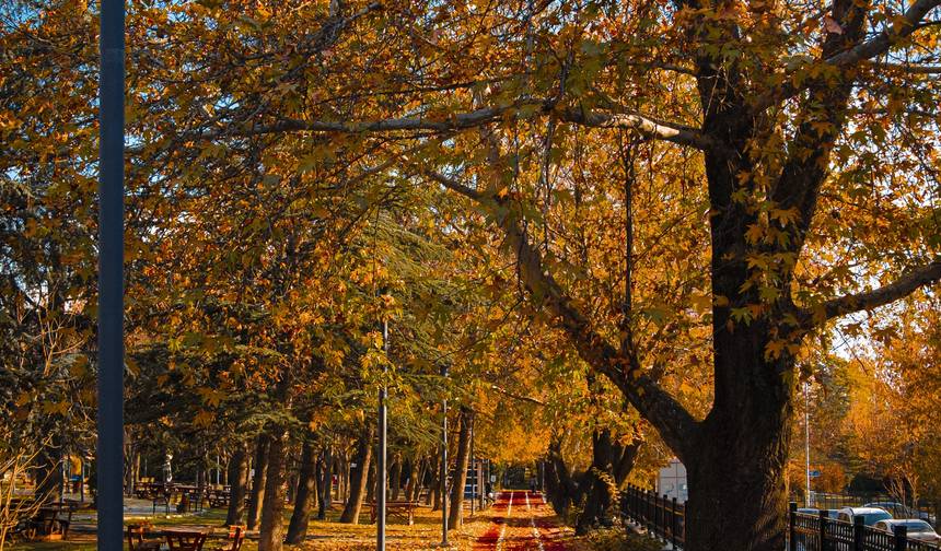 Timeless Ankara: From Empires to the Present — 1
