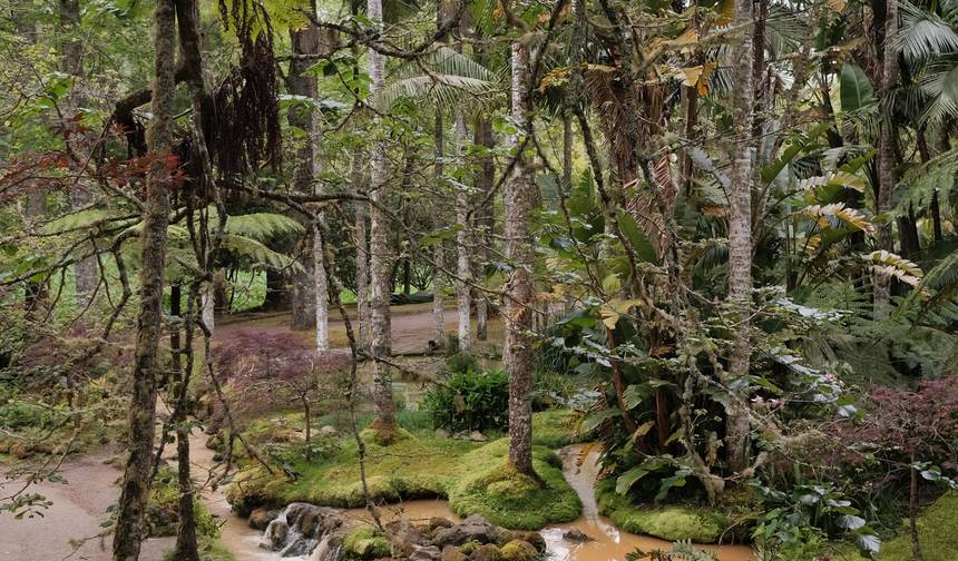 Romantic Azores: Emerald Lakes & Volcanoes — 1