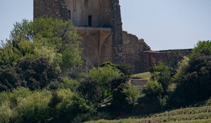 Provence in Van Gogh's Footsteps: History, Art & Coastal Beauty — 1