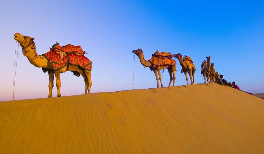 12 Days Adventurous Rajasthan Tour With Wildlife - Taj Mahal Sunset/Sunrise — 1