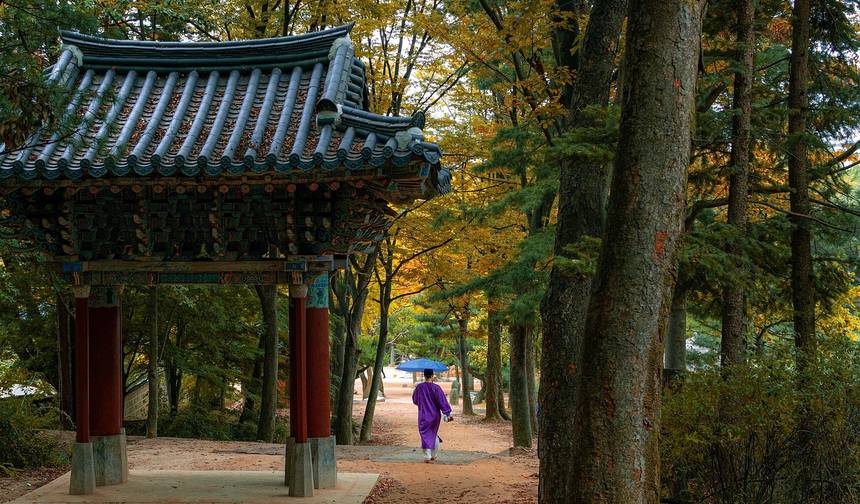 South Korea: Seoul, Jeju island, Jinju, Gonju, Geonju, Yongin, Busan, Gyeongju, Daegu, Andong, Pyeongchang, Mont Seorak, DMZ - 13 days — 1