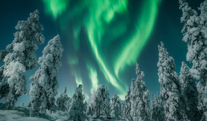 Highlight of Rovaniemi — 1