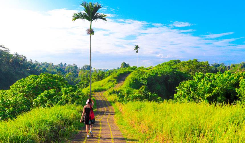 Bali Cultural Trails Explorer - 9 Days 8 Nights — 1