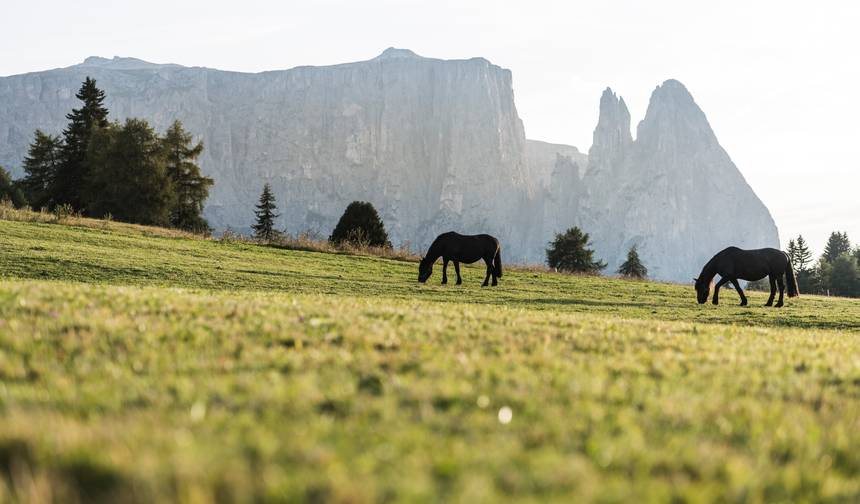 Dolomity Ronda 1 - Komfort 6 Dni — 1