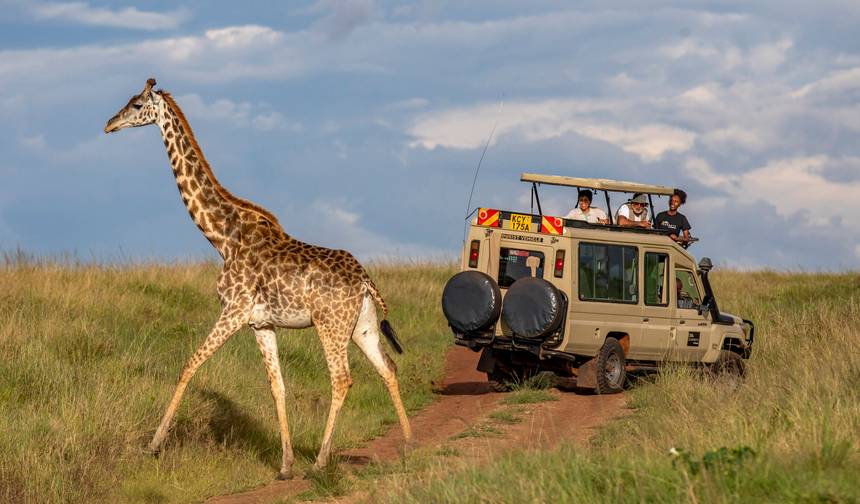 Kenya: Masai Mara, Tsavo & Coastal Wonders — 1