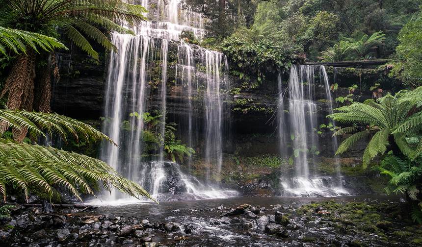 Grand Tasmania Explorer - 7 dni — 1