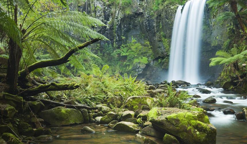 Great Ocean Road & Grampians Discovery - 2 days — 1