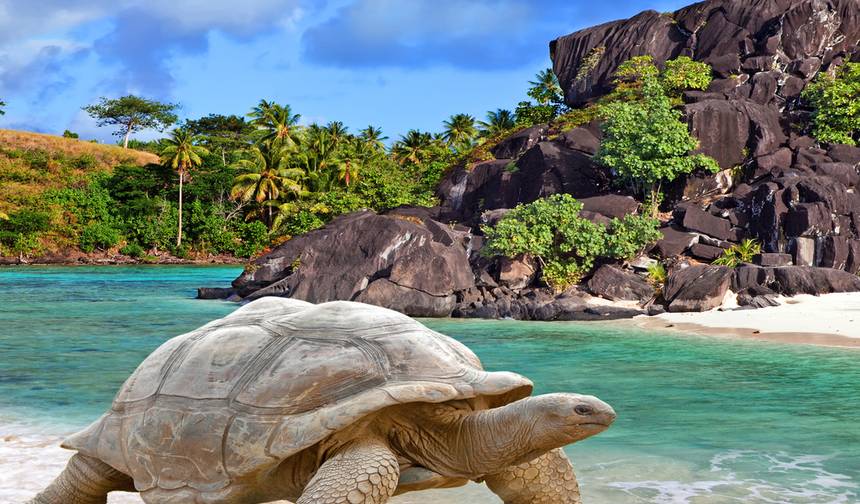 Bolivia, Peru & Ecuador with Galápagos : The Spirit of the Andes & Islands — 1