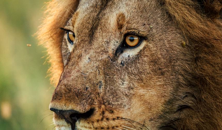 Private Botswana Nat Geo Untouched Safaris – 13 Days — 1
