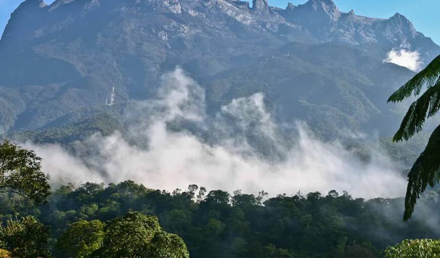Destaques da Vida Selvagem de Sabah, Bornéu — 1