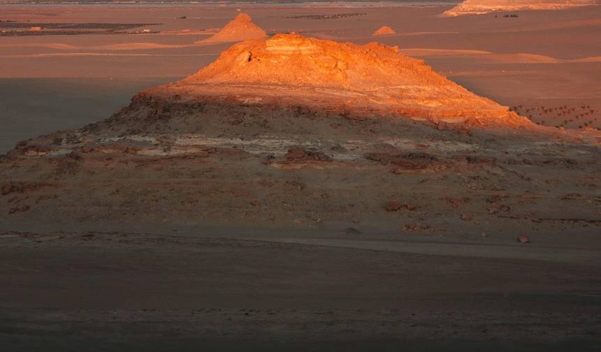 Oases and Desert Dreams — 1