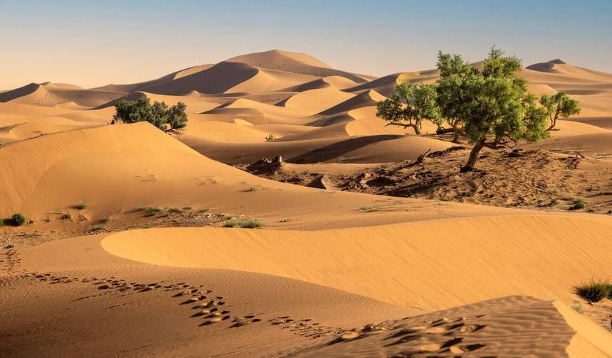 مغامرات صحراوية من مراكش إلى عرق الشقاق 3 أيام — 1