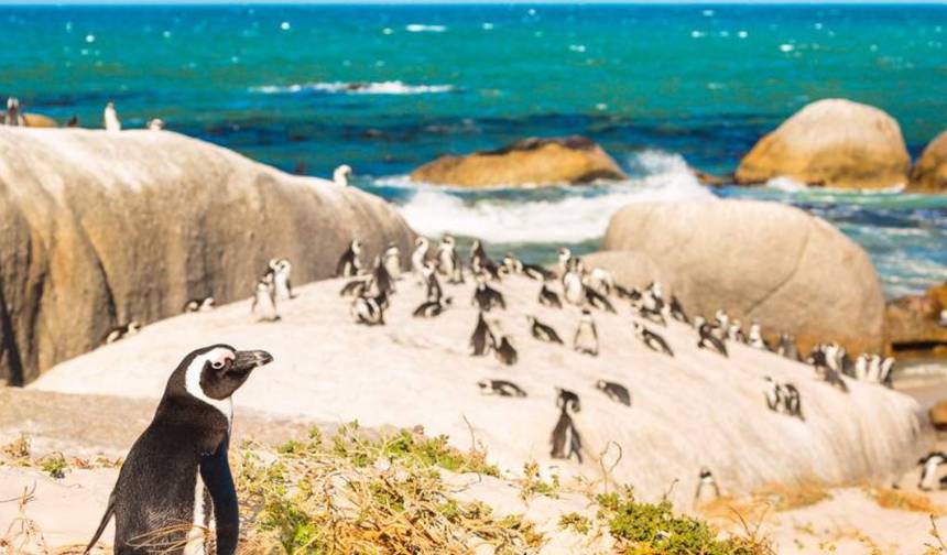 15-Day Southern Africa Signature Experience — 1