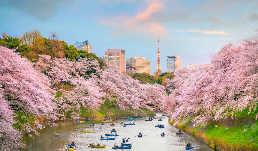 Beijing, Korean Beauty, and Japan — 1