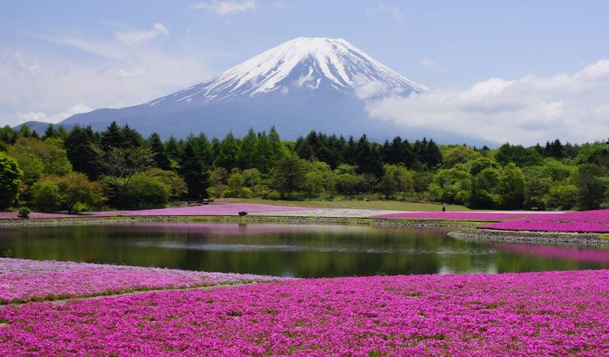 Discovering Kamakura and Mount Fuji — 1