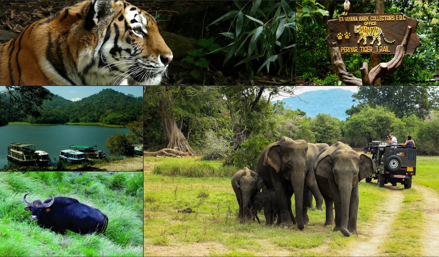 Kerala at Glance - 06 Days Private Tour — 1