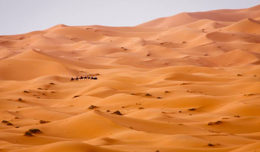 اكتشف مراكش والصحراء — 1