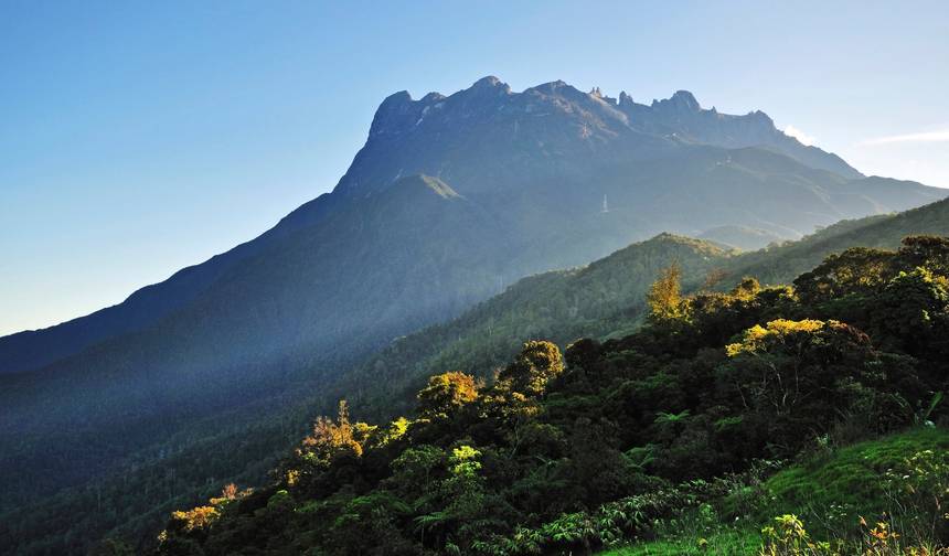 Odkrywca dzikiej przyrody Borneo — 1