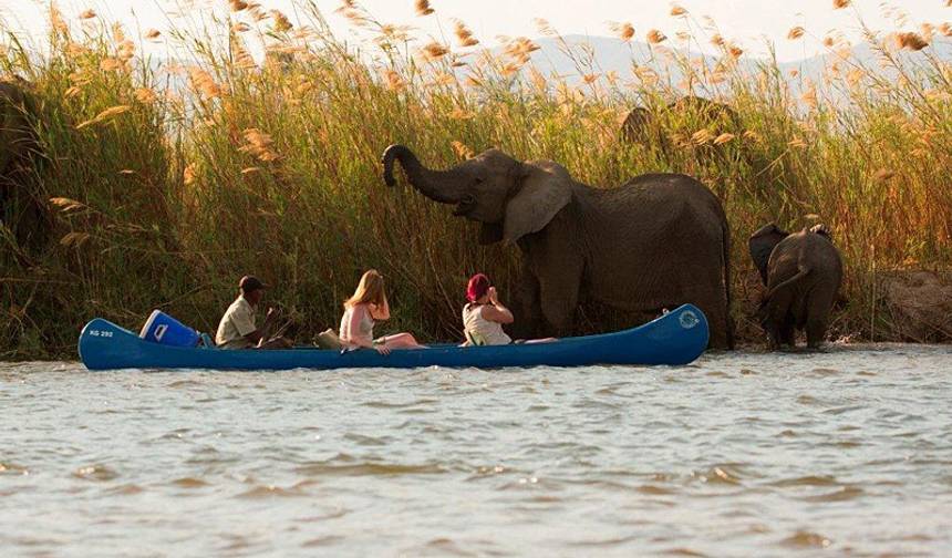 Safári de Canoa no Zambeze — 1