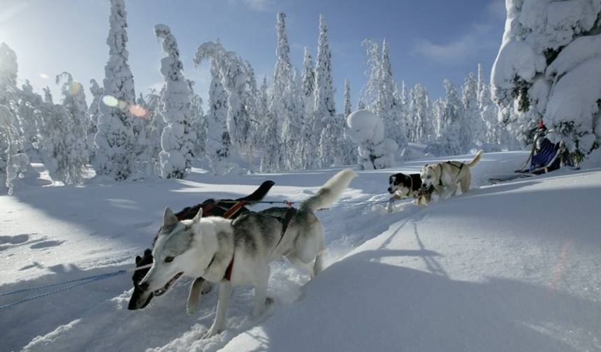 Finlandia: Rodzinna Zimowa Przygoda — 1