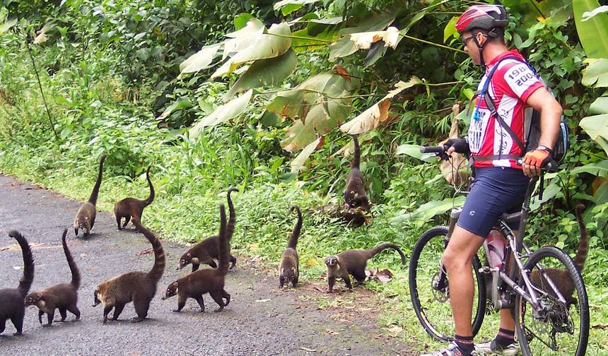 Passeio Costa a Costa na Costa Rica — 1