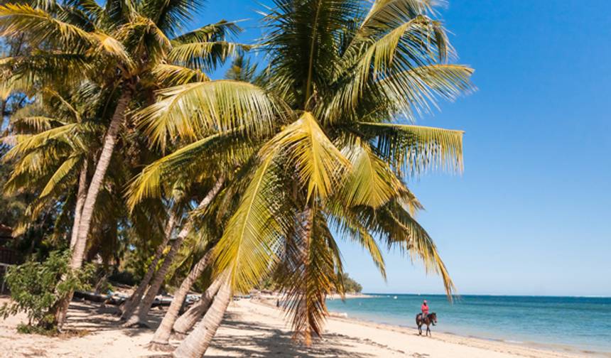 Highlights of Madagascar - 12 days — 1