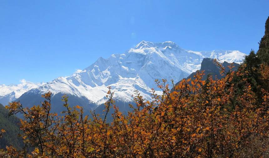 Annapurna a Chitwan: Caminhadas e Vida Selvagem — 1