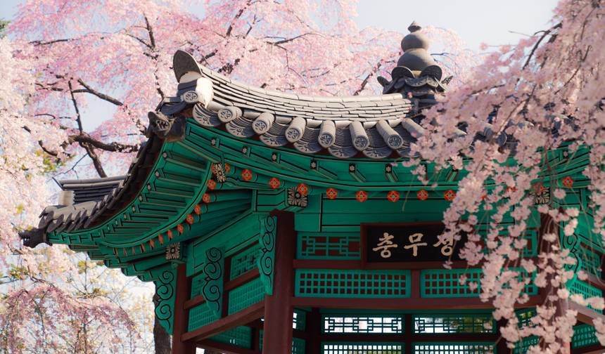 Discover Korea Palaces, DMZ, and Temples - 7 days — 1
